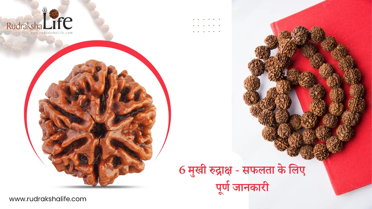 6 मुखी रुद्राक्ष – सफलता के लिए पूर्ण जानकारी