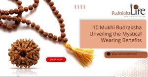 10 Mukhi Rudraksha