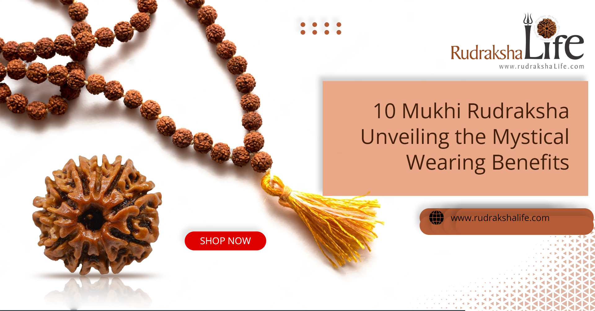 10 Mukhi Rudraksha: Unveiling the Mystical Wearing Benefits