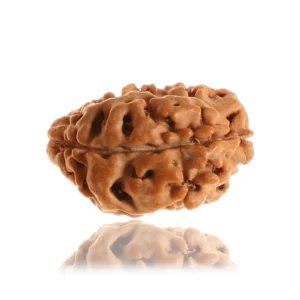 1 Mukhi Gol (Himalaya)